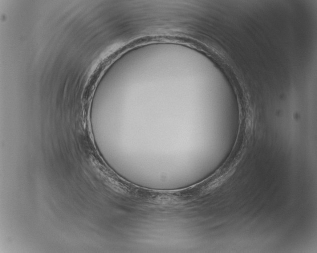 X0000051920974200507082051