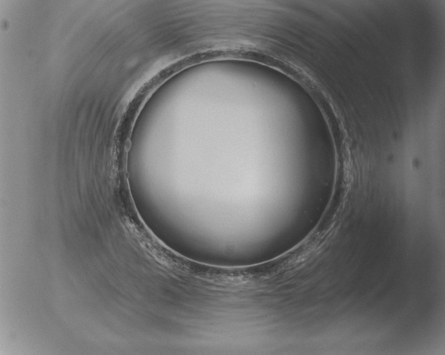 X0000051920975200507082051