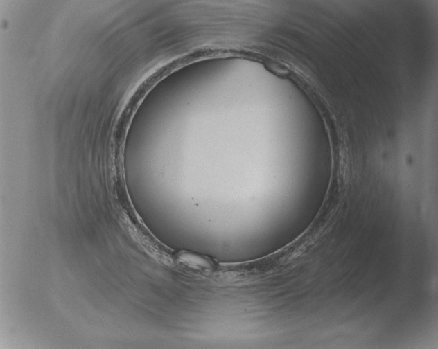 X0000051920976200507082051