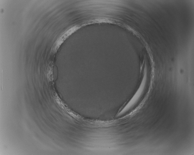 X0000051920977200507082051