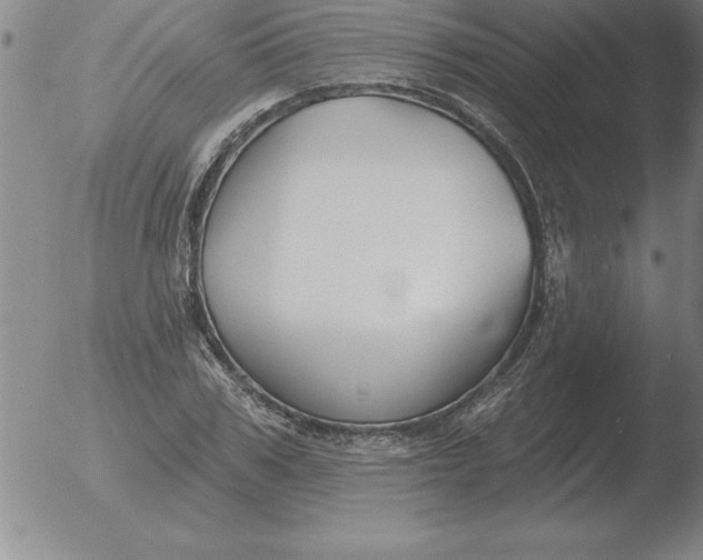 X0000051920979200507082050