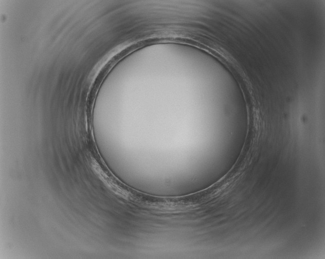 X0000051920980200507082050