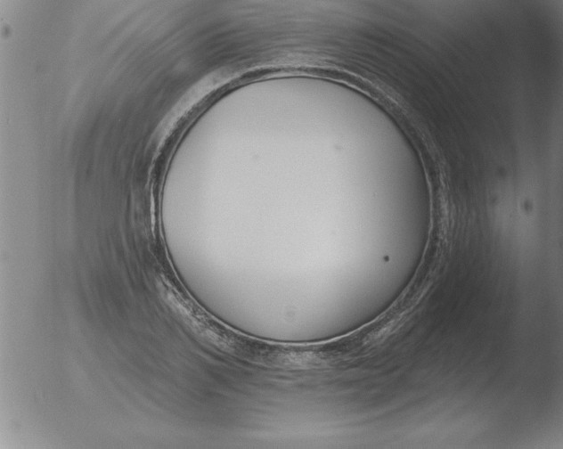 X0000051920982200507082050