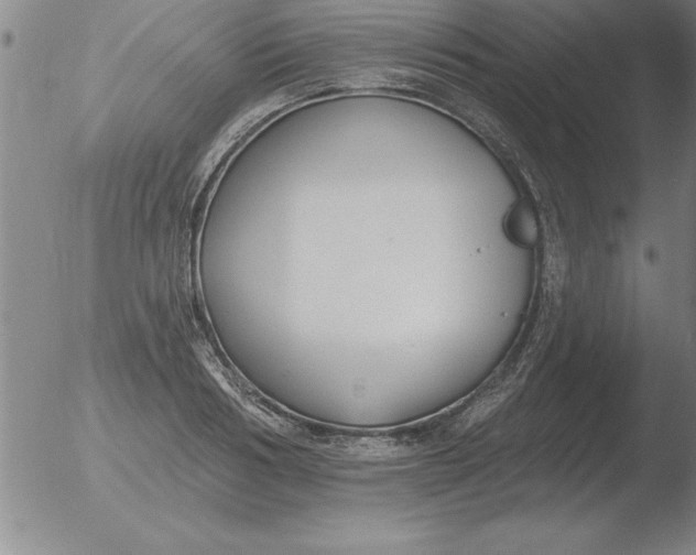 X0000051920986200507082050