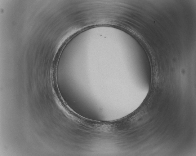 X0000051920991200507082050