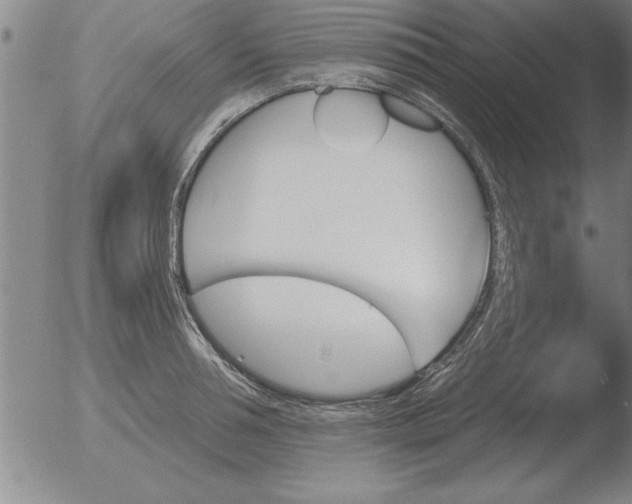 X0000051920994200507082050