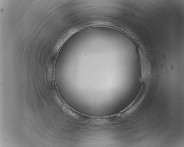 X0000051921001200507082050