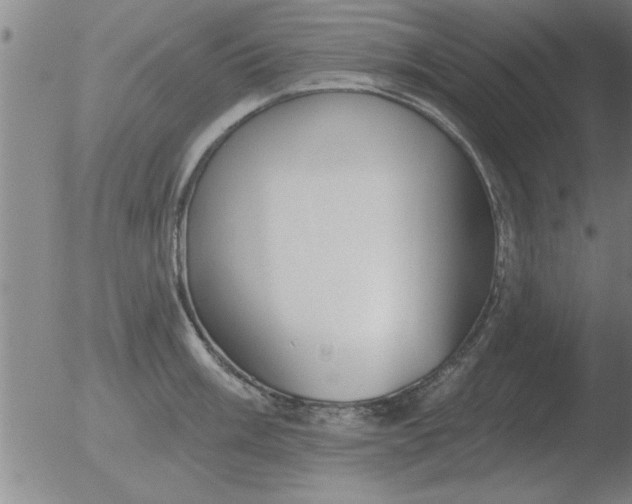 X0000051921003200507082050