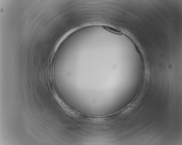 X0000051921004200507082050