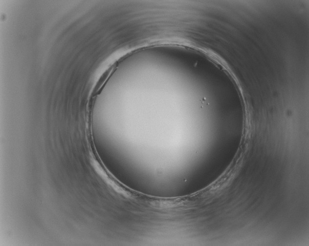 X0000051921005200507082050