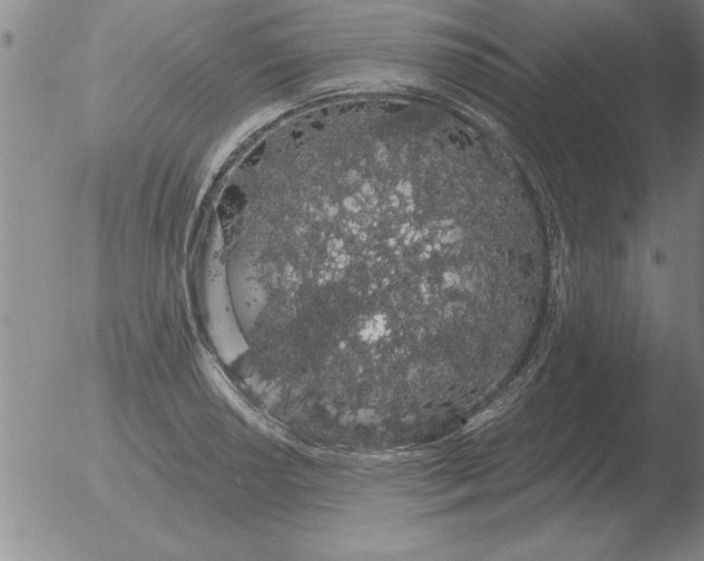 X0000051921034200507082050