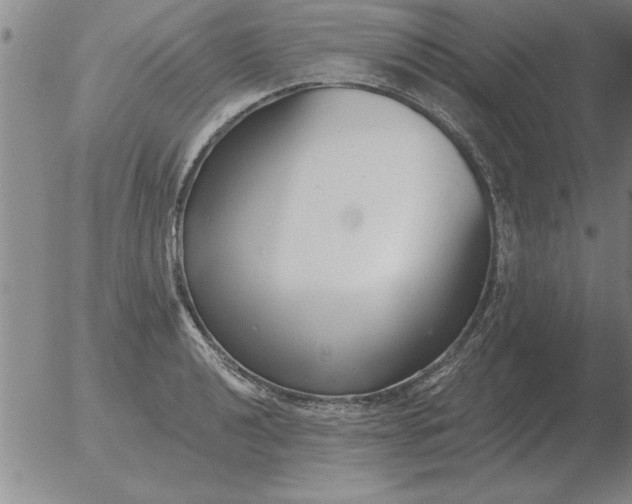 X0000051921040200507082050