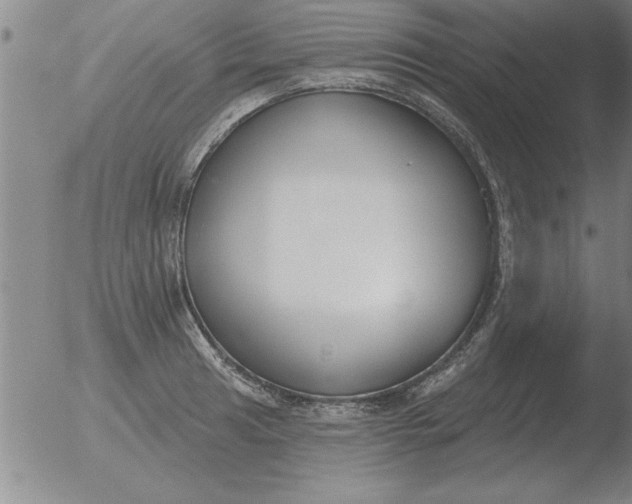 X0000051921041200507082050