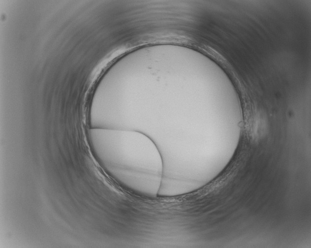 X0000051921043200507082050