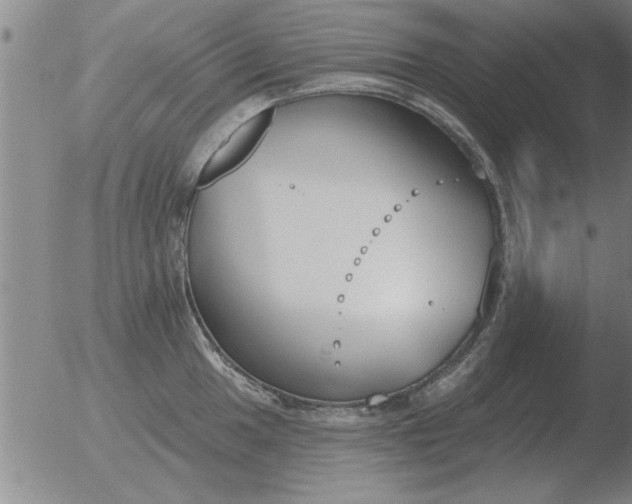 X0000051921049200507082050