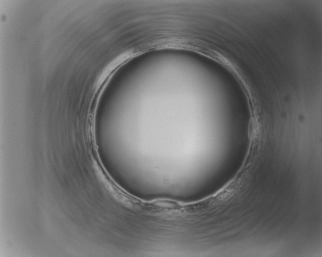 X0000051921050200507082050