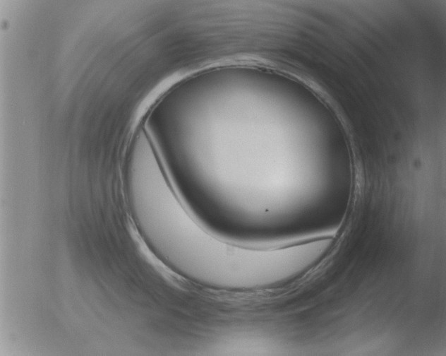 X0000051921054200507082050