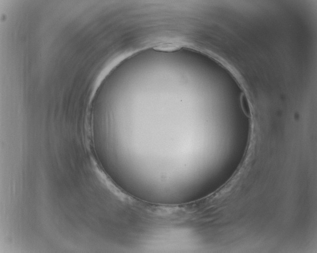 X0000051921056200507082050