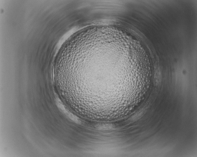X0000051921083200507082049