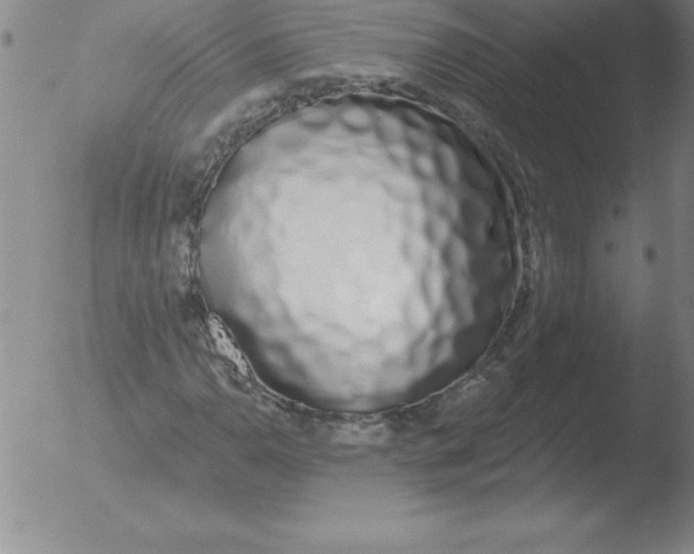X0000051921110200507082048