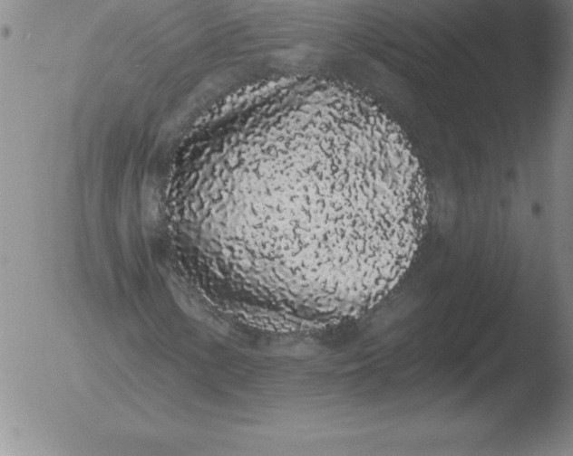 X0000051921154200507082048