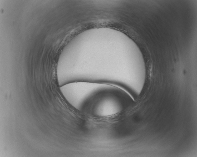 X0000051921204200507082046
