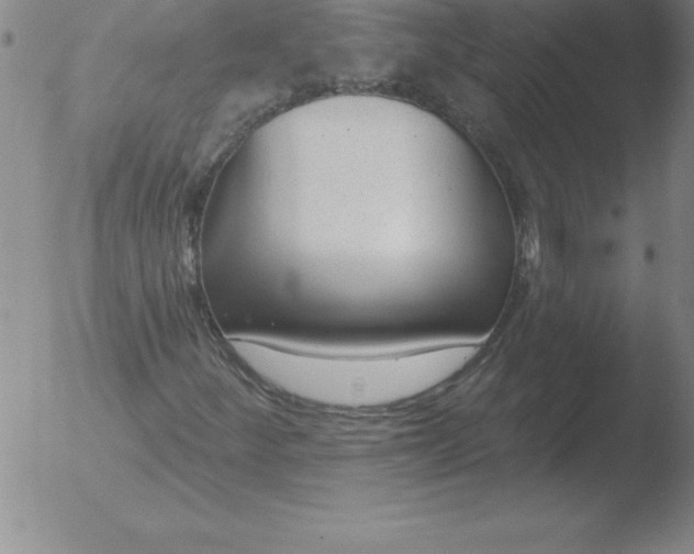 X0000051921252200507082046