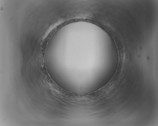 X0000051921256200507082046