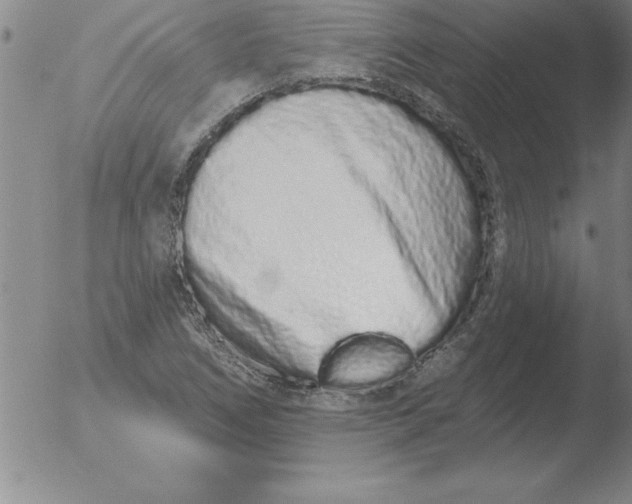 X0000051921266200507082046