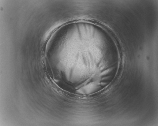 X0000051921359200507082044