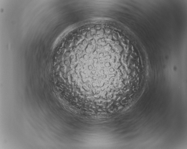 X0000051921362200507082044