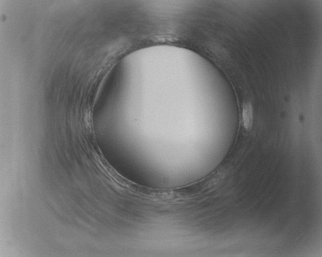 X0000051921444200507082043