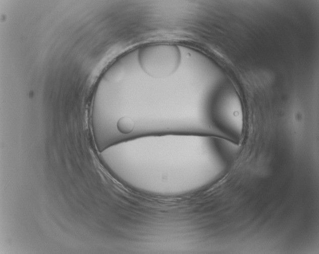 X0000051921459200507082043