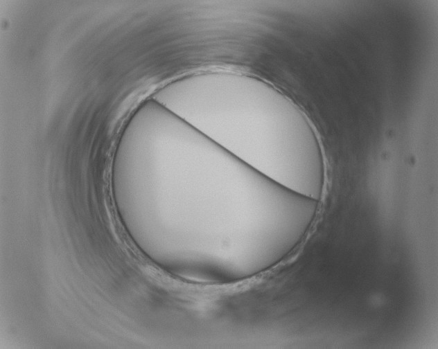 X0000051920001200507152109