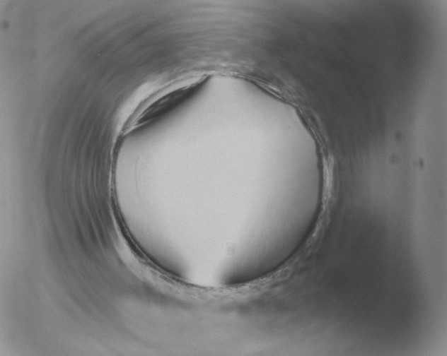 X0000051920003200507152109