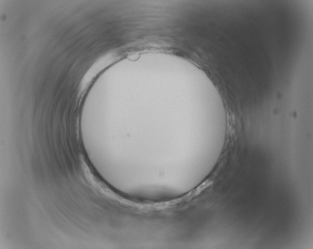 X0000051920004200507152109