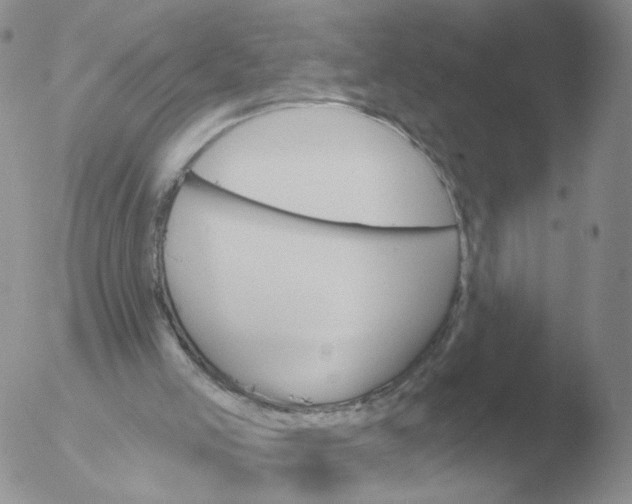 X0000051920005200507152109