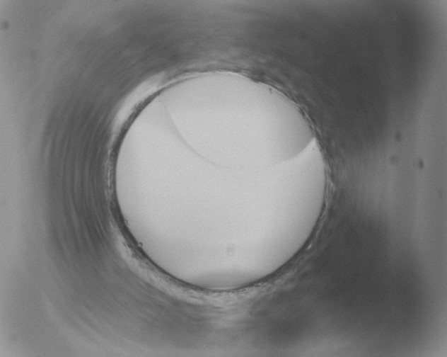 X0000051920006200507152109