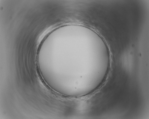 X0000051920007200507152109