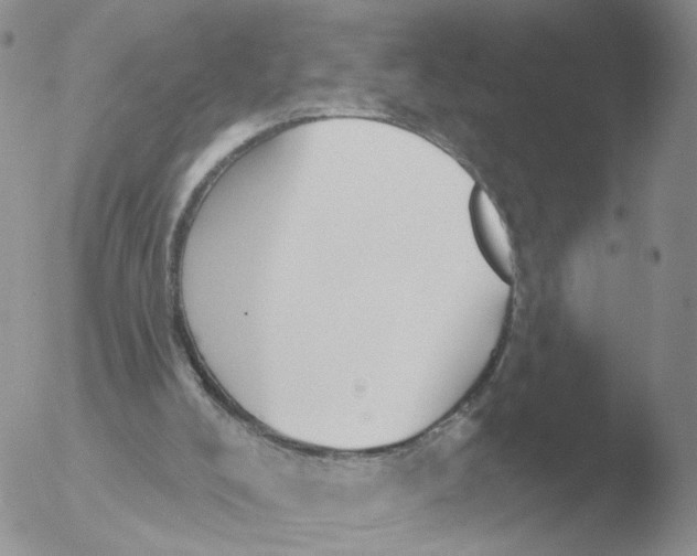 X0000051920008200507152109