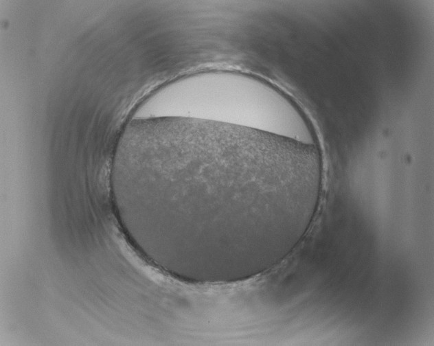 X0000051920009200507152109