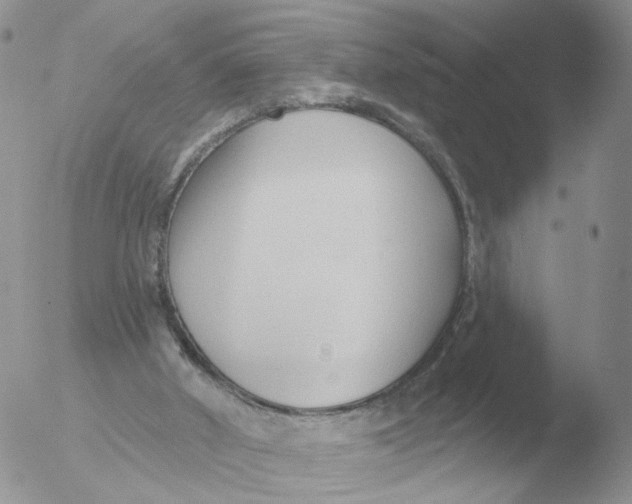 X0000051920010200507152109