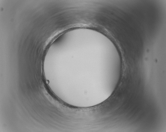 X0000051920011200507152109