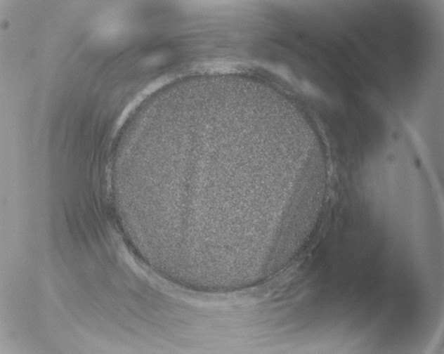 X0000051920012200507152109