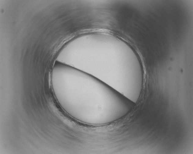 X0000051920013200507152109