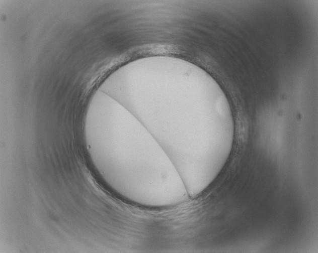 X0000051920014200507152109