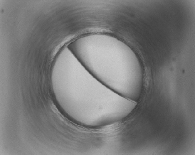 X0000051920015200507152109