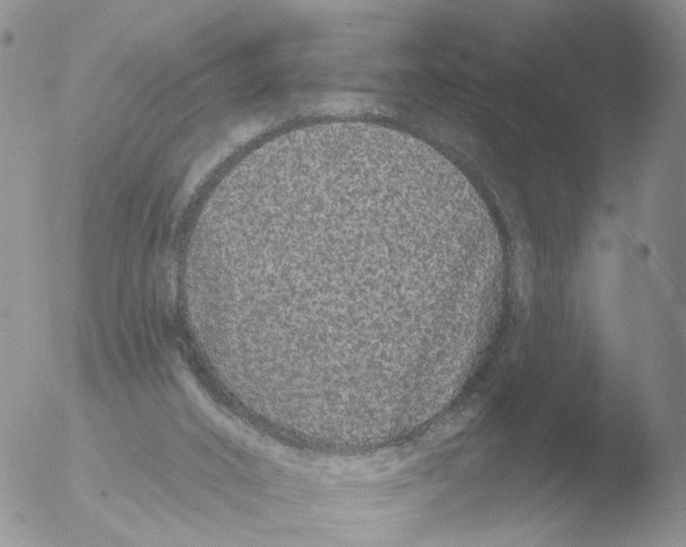 X0000051920016200507152109