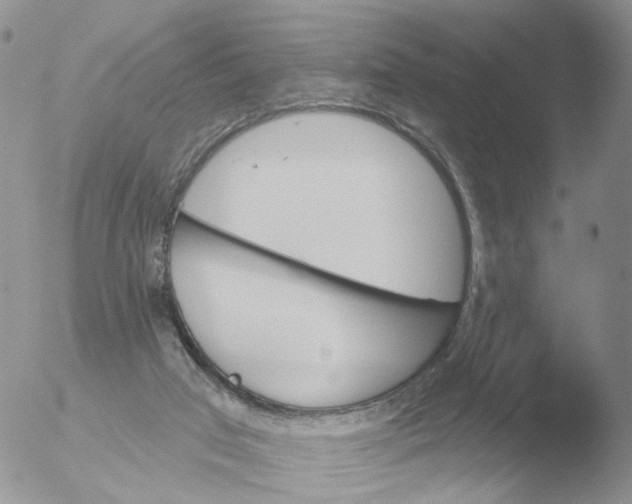 X0000051920017200507152109