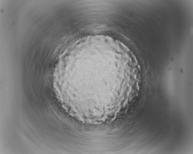 X0000051920018200507152109